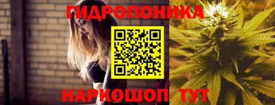 прущие грибы Апрелевка
