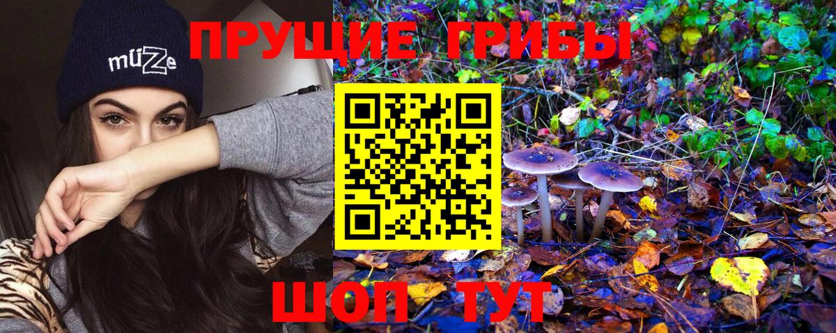 Галлюциногенные грибы Psilocybine cubensis  Артёмовский 