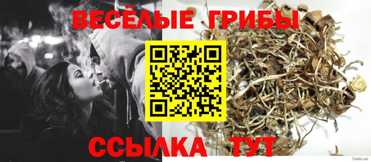 Артёмовский  Псилоцибиновые грибы мицелий  Вход с VPN 